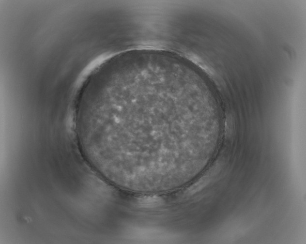 X0000113551454200910091254