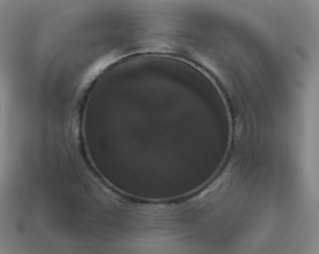 X0000113551455200910091254