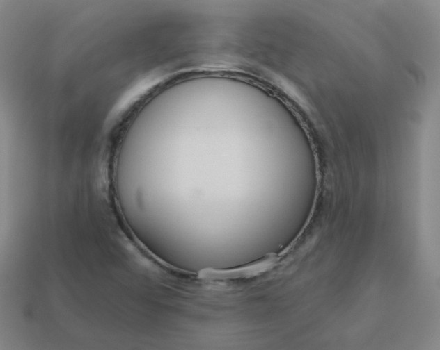 X0000113551456200910091254