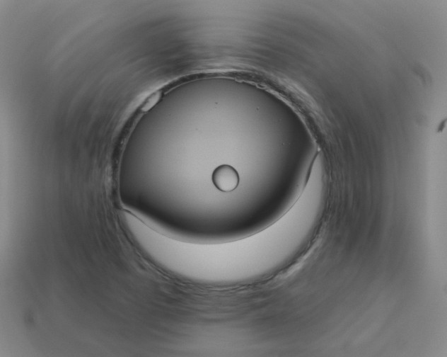 X0000113551457200910091254