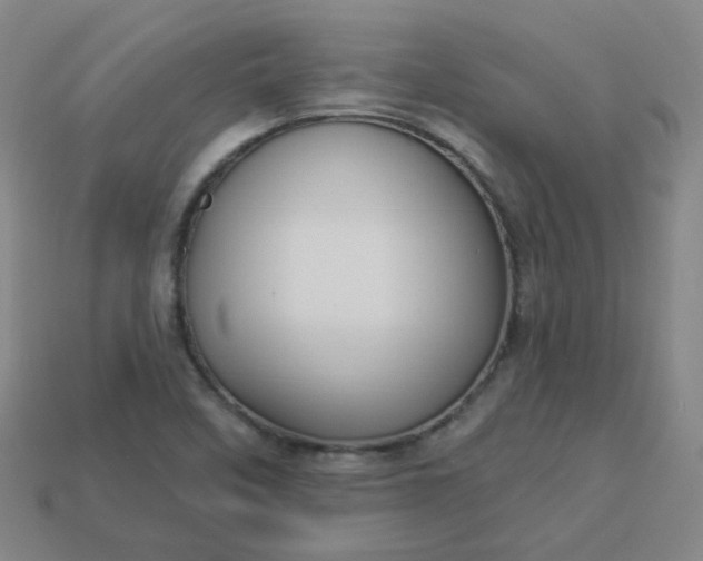 X0000113551458200910091254