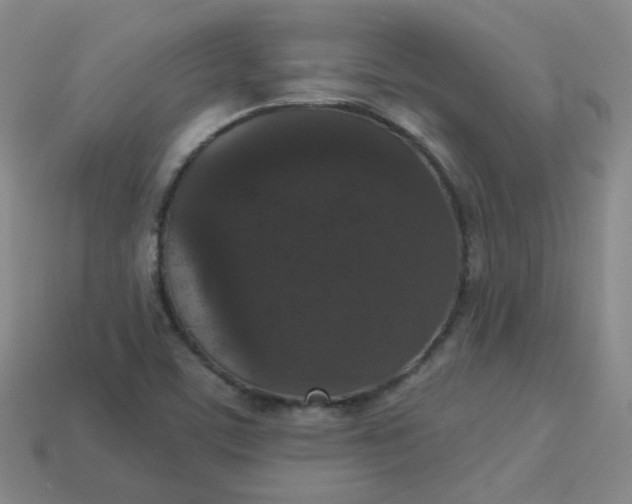 X0000113551459200910091254