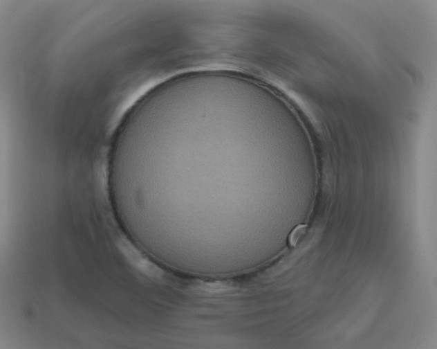 X0000113551460200910091254