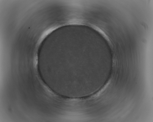 X0000113551461200910091254