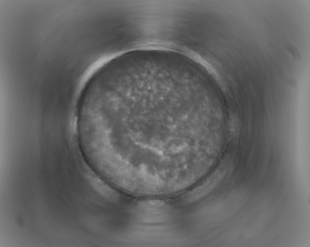 X0000113551462200910091254