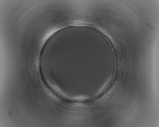 X0000113551463200910091254