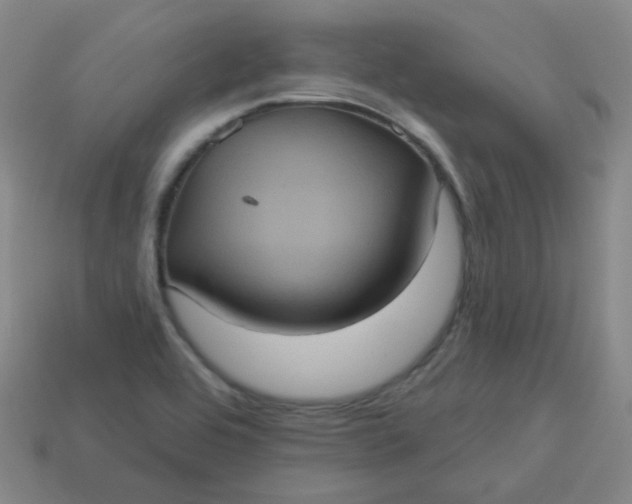 X0000113551464200910091254