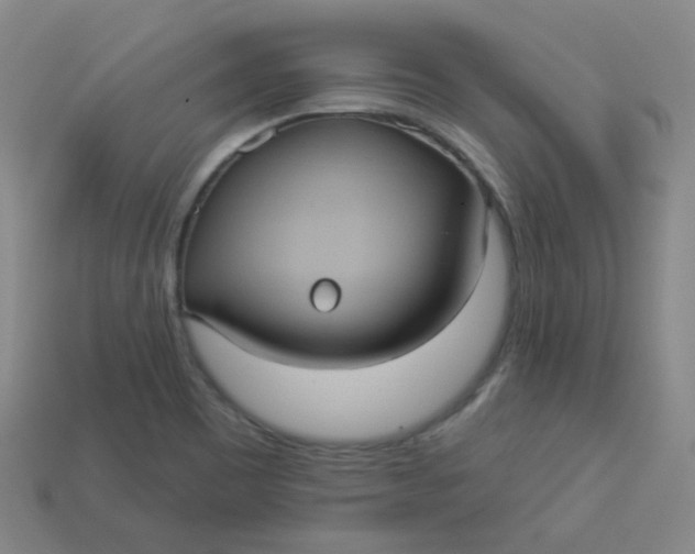 X0000113551465200910091254