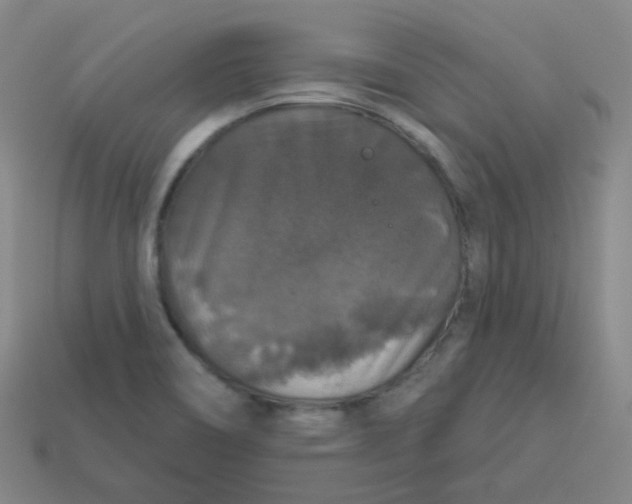 X0000113551466200910091254