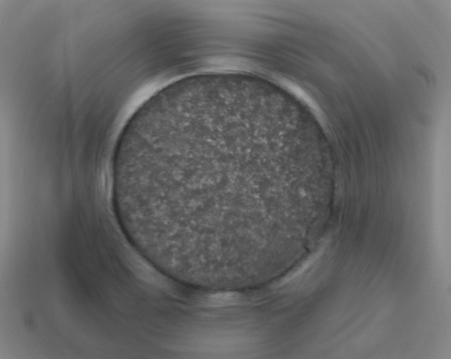 X0000113551467200910091254