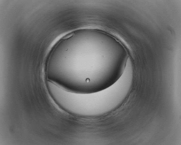 X0000113551468200910091254