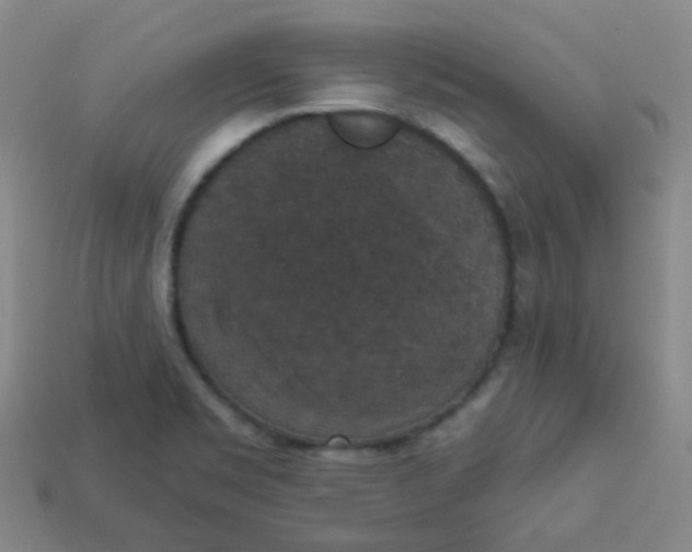 X0000113551469200910091254