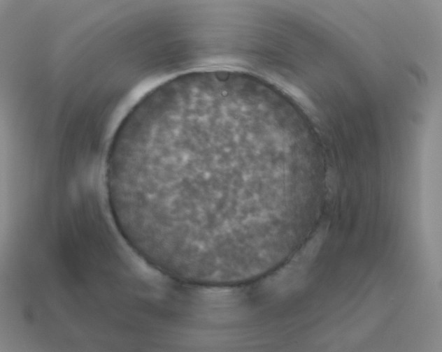 X0000113551470200910091254