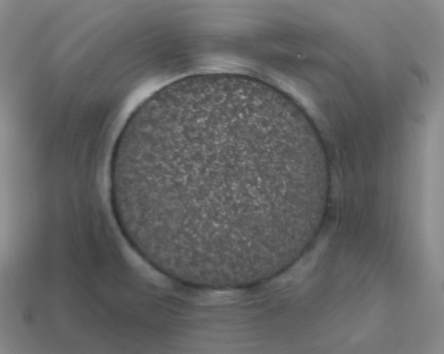 X0000113551471200910091254