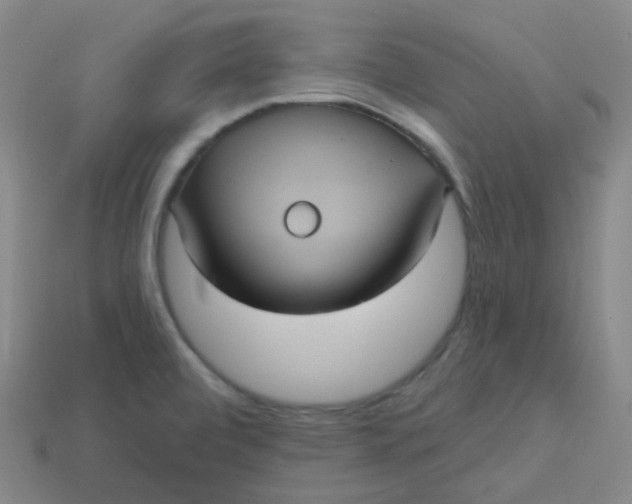 X0000113551472200910091254