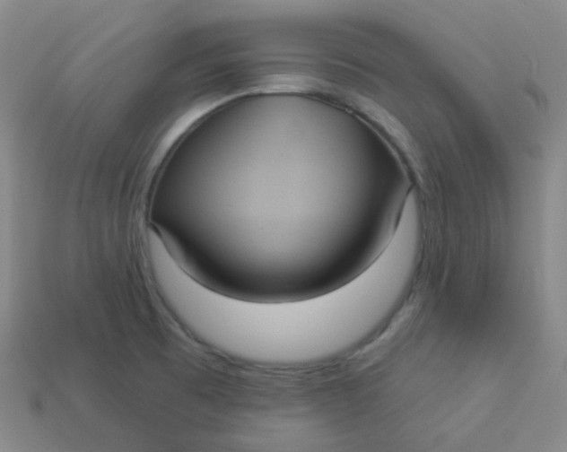 X0000113551473200910091254