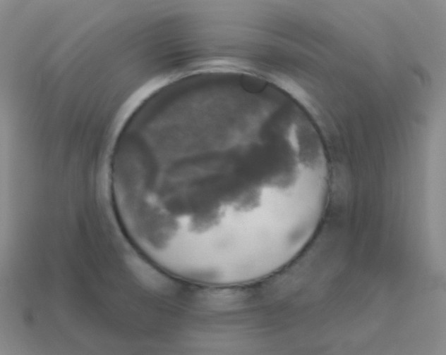 X0000113551474200910091254