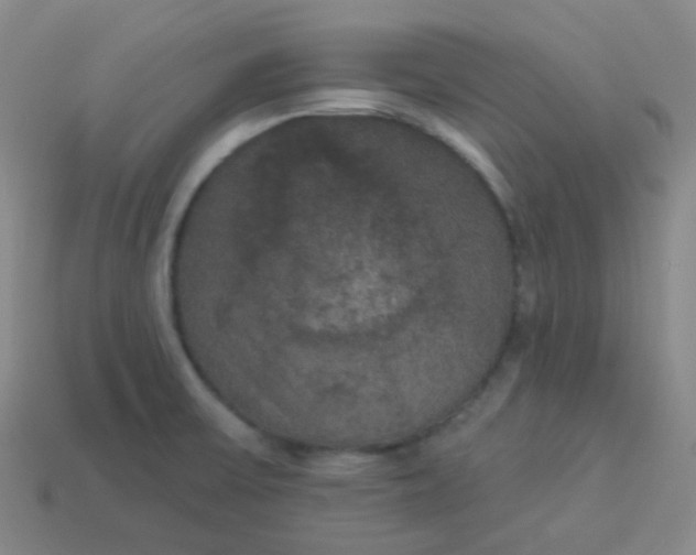 X0000113551475200910091254