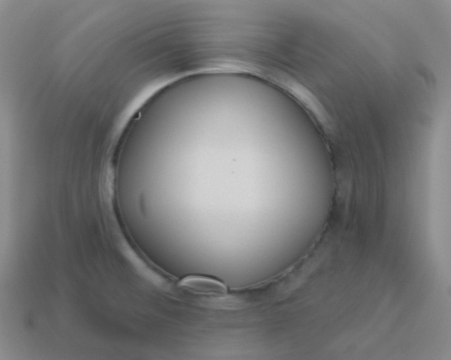 X0000113551476200910091254