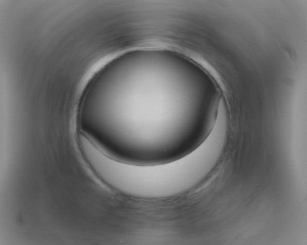 X0000113551477200910091254