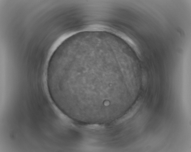 X0000113551478200910091254