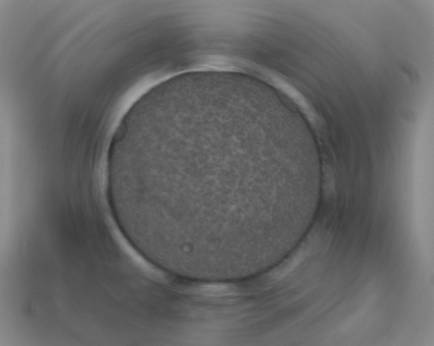 X0000113551479200910091254