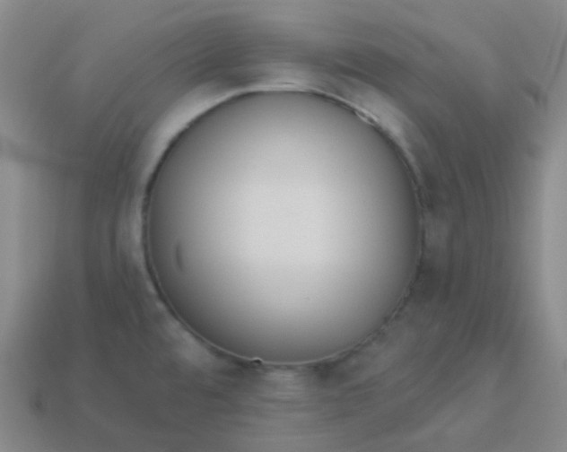 X0000113551480200910091254