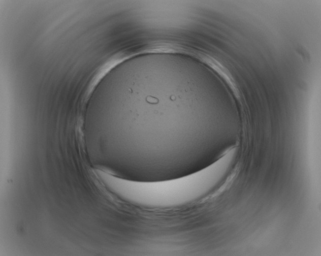 X0000113551481200910091254