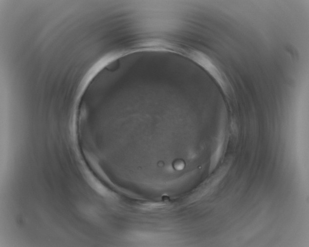 X0000113551482200910091254