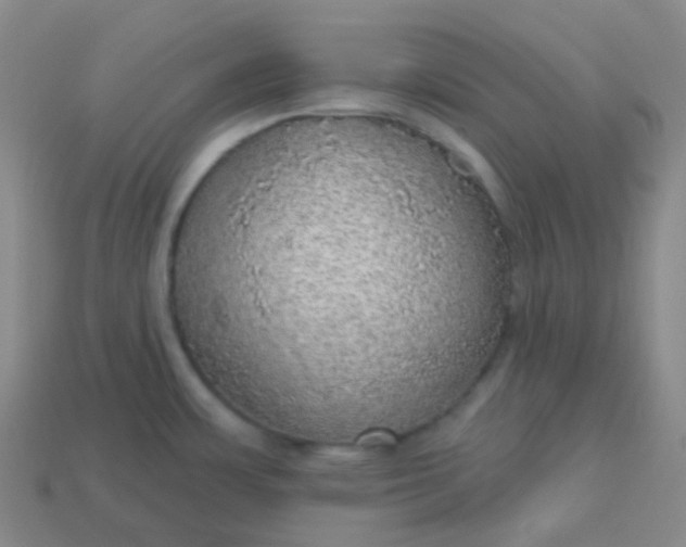 X0000113551483200910091254