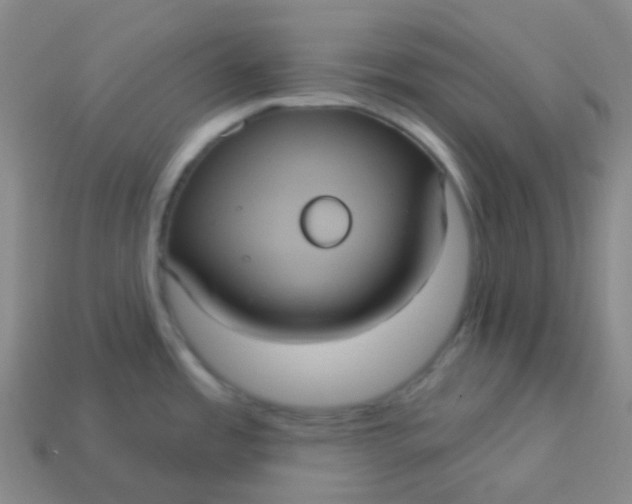 X0000113551485200910091254