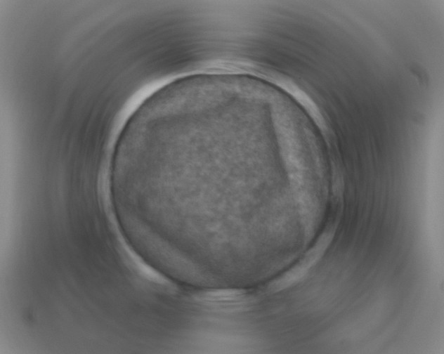 X0000113551486200910091254