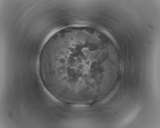 X0000113551487200910091254