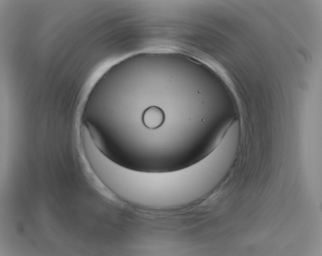 X0000113551488200910091254