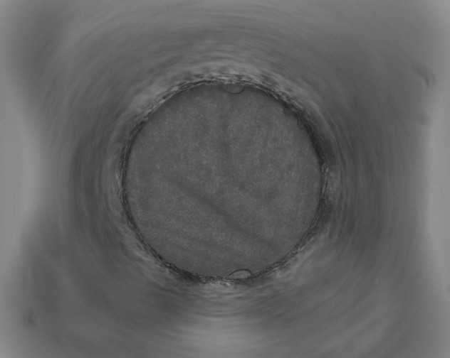 X0000113551489200910091253