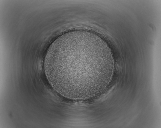 X0000113551490200910091253