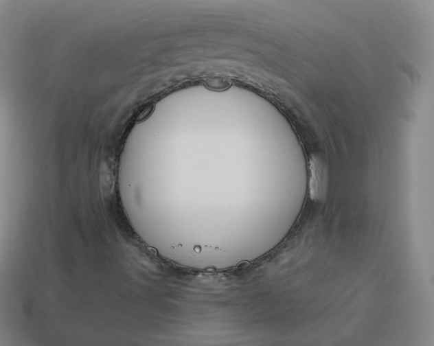 X0000113551491200910091253