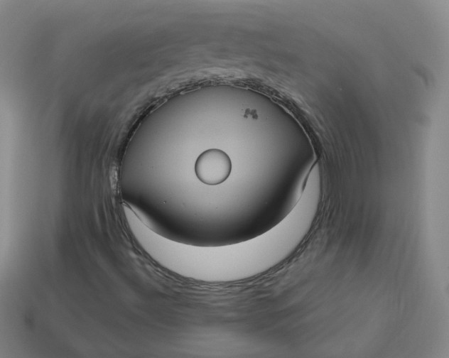 X0000113551492200910091253