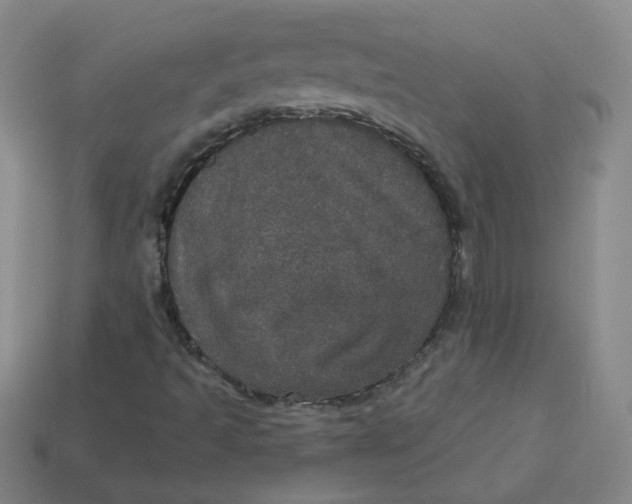 X0000113551493200910091253