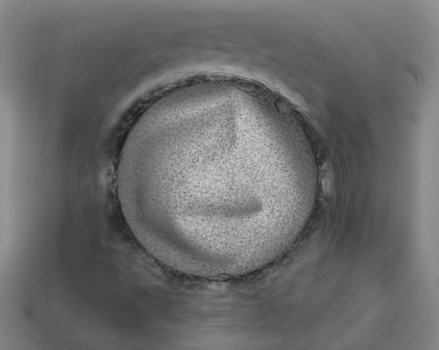 X0000113551495200910091253