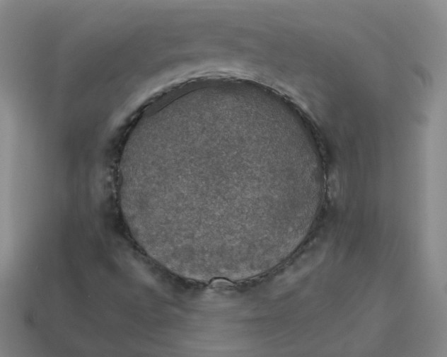 X0000113551496200910091253