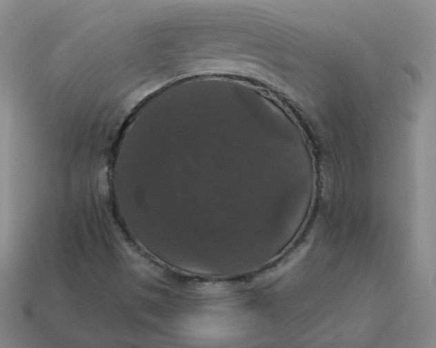 X0000113551497200910091253