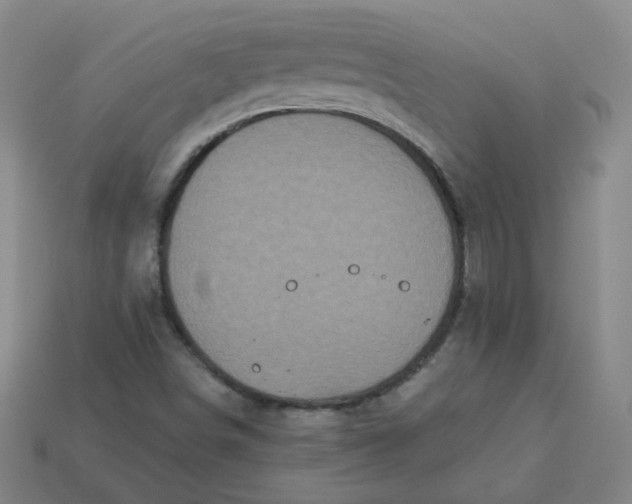 X0000113551498200910091253