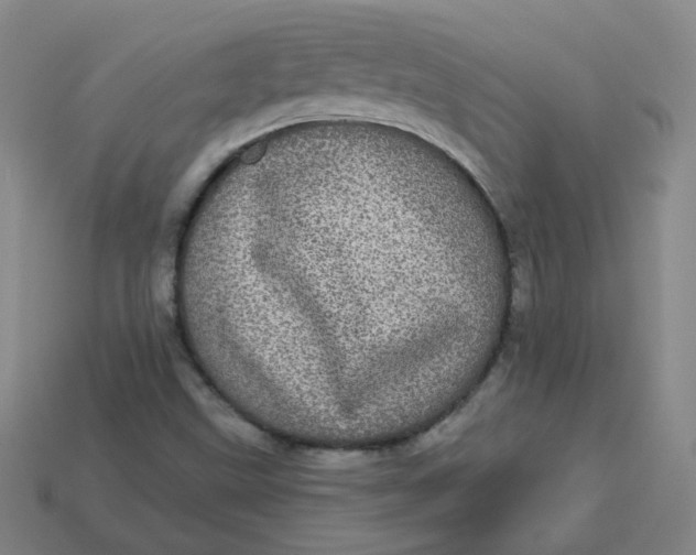 X0000113551499200910091253