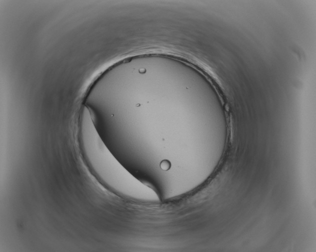 X0000113551500200910091253