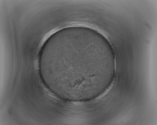 X0000113551501200910091253