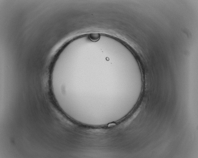 X0000113551502200910091253