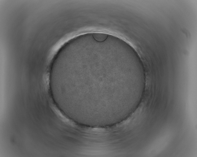 X0000113551503200910091253