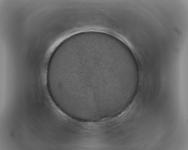 X0000113551504200910091253