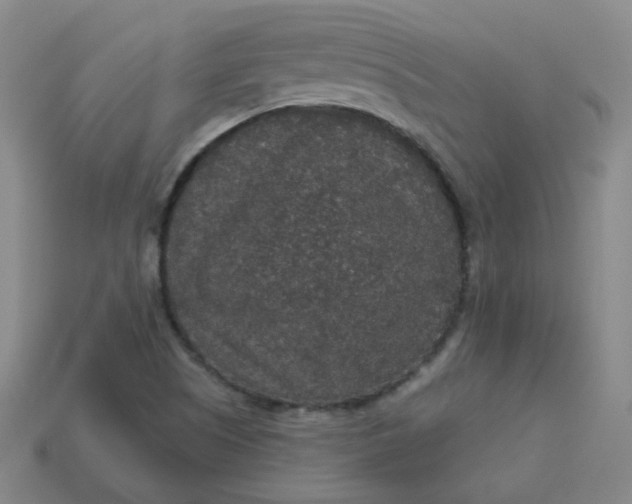 X0000113551505200910091253